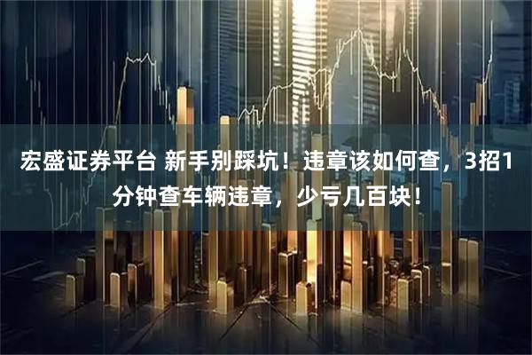 宏盛证券平台 新手别踩坑！违章该如何查，3招1分钟查车辆违章，少亏几百块！