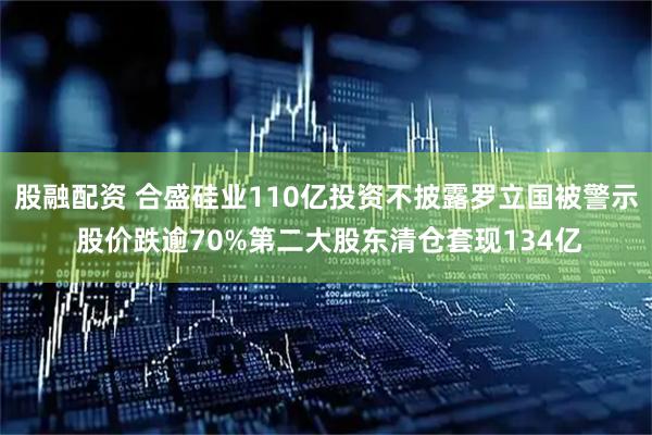 股融配资 合盛硅业110亿投资不披露罗立国被警示 股价跌逾70%第二大股东清仓套现134亿