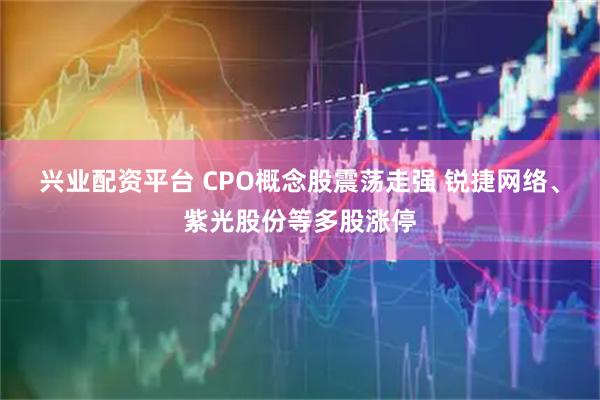 兴业配资平台 CPO概念股震荡走强 锐捷网络、紫光股份等多股涨停